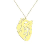 Generico collane da donna, ciondolo anatomico a cuore per donne Anatomia femminile Ciondolo del cuore per corde Catena del collo biologia Regalo