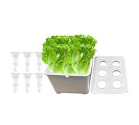 Genérico Coltivazione - Piantagione Interni 6 Celle per Verdure, Erbe E Fiori | Dispositivo Idroponico Senza Inquinamento Energia Solare per La Coltivazione Domestica, L