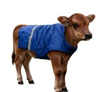 Generico Coperta di vitello - per pancia anticarbulica vestiti per piccoli bestiame - coperta di riscaldamento bestiame regolabile | Per notturna per la notturna di traspor