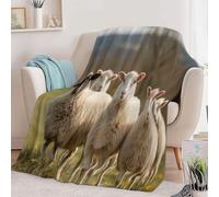 Generico Coperta in Pile con Stampa Surrealismo Animali Pecore, Coperta Verde Plaid in Pile di Flanella per Divano 130 x 150 cm - Decorazione Stagionale per Casa Soggiorno Divano