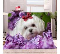 Generico Coperta Plaid Pile Sherpa 100x130 cm Cane Maltese Bianco Con Fiori Lilla Viola Coperta Calda e Confortevole Flanella, Copri Divano, Copriletto, Plaid Divano Fluffy, per Tutte le Stagioni