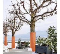 Generico Copertura Protettiva per Radici degli Alberi - Protezione dal con Cordino | Involucro Protettivo per Radici degli Alberi Invernale - per Esterno Clima Freddo Giardino Cortile Viale Paesaggio