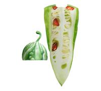 Generico Costume da Verdura per Adulti | Costumi di Frutta e Verdura per Halloween | Abbigliamento Novità per Feste Eventi e Foto | Compleanno Carnevale Scuola Amici Adolescenti Uomini Donne Coppie