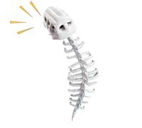 Generico Costume Teschio Di Dinosauro - Teschio Dinosauro e Dorsale per Cosplay Halloween - per Ruoli a Raduni Spettacoli Eventi a Tema e Feste di Halloween