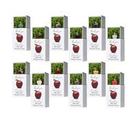 Generico Cute Fruit Keepsake, Teacher Appreciation Gift Box, Small Size Set with Gift Packaging, Resin Mini Keepsake, Classroom with Fun Design, Sturdy School Set for Students Kids