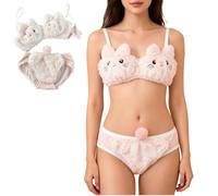 Generico Cute Plush Bear Gathered Padded Bra And Panty Set,Plush Seductive Lingerie Underwear Brief,Cozy Animal Design Warm Bra Set (Cat Pink, XL)