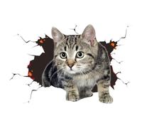 Generico Decalcomania per Auto per Gatti, Decalcomania per Auto per Gatti 3D - Simpatico Adesivo per con Decalcomania Animale 3D,Adesivo per Il Corpo di di Gatto di Simulazione, Decorativi per per