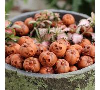 Generico Décoration Autunnali Zucca - 20 Pièce En Résine D'Halloween | Zucche Artificiali Decorazioni | Figurines De Miniatures D’Halloween - Decorazioni Autunno Zuccain Peluche, Mini