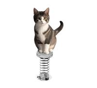 Generico Decorativi per Automobile Gatto | Ornamento Gatto con Testa Che Si Muove 2D | per Cruscotto Automobile - per Uomini Donne Pannello Scrivania per Computer Vacanze Ufficio Interno