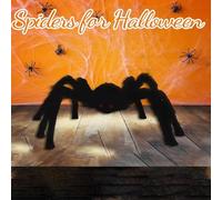 Generico Decorazioni di Halloween,di Halloween | Oggetti di Scena dei della casa stregata - Grandi Spaventosi Realistici di per Forniture per Feste per Decorazioni per Interni ed Esterni