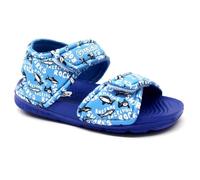 Generico DEMA SANDALI CIABATTE MARE BIMBI gomma con strappo mod. CIAK (BLU, Sistema Taglie Calzature EU, Bimbo (0-5 anni), Uomo, Numero, Media, 19)