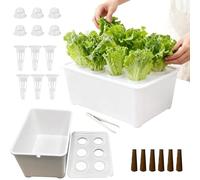 Generico Di Coltivazione - Attrezzatura Facile Da Usare Per Principianti,Kit Per La Piantagione E Semina Da Interno - Per Frutta Lattuga Fiori Balcone Parterre Hotel Appartamento