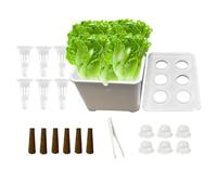 Generico Di Coltivazione | Attrezzatura Per La Coltivazione Per I Principianti | Kit Per La Piantagione E Semina Da Interno,Per Frutta Lattuga Fiori Balcone Parterre Hotel Appartamento