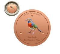 Generico Disco di Rame da Bagno - da Giardino per Pulizia Naturale | Piastra in Rame da 10 cm per Vasche | Adatto A Fontane Riscaldate Esterno Giardino Cortile Prato Cemento Ceramica
