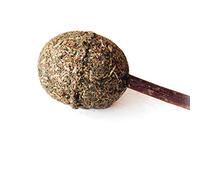 Generico Divertente Gatto Bastone da Masticare Catnip Ball Lecca-Lecca Gattino Pet Pulizia dei Denti Giocando Giocattoli per Gatti Molto Pratico e popolareUtile e Pratico.