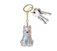 Generico Dog Hair Memorial Keepsake - Ashes Bottle Keyring Charm For Pets