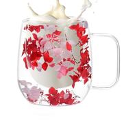 Generico Double Glass Coffee Cups Dried Flower Glass Coffee Mugs
