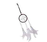 Generico Dream Catcher Feather Dream Catcher Fatti a Mano Lucky Charms Ciondolo Gioielli d'Arte Piuma Gioielli per Appendere Le pareti Decorazione Regalo Artigianale Creativo e utBella e abile.