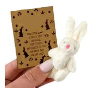Generico Easter Bunny Plush, Small Cartoon Bunny with Candy Card Funny Postcard, Cute Party Favors Kids, Teens, Girls, Family and Friends, Ideal for Easters, Birthdays, Valentine's Day