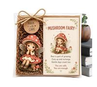 Generico Emotionals Support Fairy Gift Box Set, pockets hug Fairy Figurine