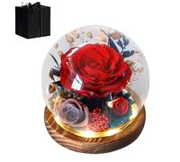 Generico Eternal Rose - Glass Globe 13x12cm | Forever Preserved Flower Decoration | Long Lasting Aesthetic Rose Gift for Mother Girlfriend Women for Valentine’s Day Women’s Day Birthday