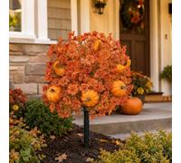 Generico Fall Artificial Flowers for Outdoors with Ground Stakes (B)