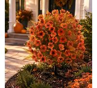 Generico Fall Artificial Flowers for Outdoors with Ground Stakes (C)