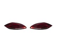 Generico Fanale posteriore automobile Per Panamera 970 2010 2011 2012 2013 | Coppia fanali posteriori LED, coda/freno/freccia/DRL dinamica, plug-and-play(2pcs Red)