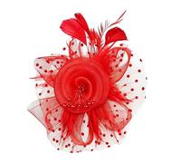 Generico Fascinator Da Donna - Cerchietto Con A Rete Per Tea Party Donna,Cappelli Da Tea Party - Per Occasioni Formali Come Cerimonie, Eventi, Matrimoni, Funerali E Le Feste Della Sposa