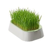 Generico Feline Planter - Sprouting Vessel for Digestion | Layer with Detachable Grates Soilless Germination Basin for Wheatgrass, Barley, Oat Shoots And Healthy Pet Snacking