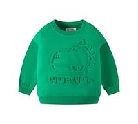 Generico Felpa a Maniche Lunghe per Ragazzi,Felpa Invernale Bambini Felpe Casual E Comode Abbigliamento l'autunno l'inverno Comfort Calore alla Bambino Ragazzi 3-14 Anni