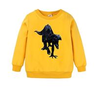 Generico Felpa Bambino Senza Cappuccio,Felpa Invernale Bambini Pullover Cappuccio Accogliente Graziosa Solid Color/Print in Primavera E Autunno per attività Sportive