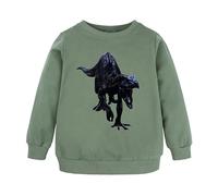 Generico Felpa Bambino Senza Cappuccio,Sweatshirt Cappuccio Pullover Accogliente Graziosa Teen's Sweatshirt in Primavera E Autunno per Bambini attività Sportive
