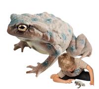 Genérico Figura di Rospo, Giocattoli di Rana per bambini: Figura Realistica del Modello Rana Giocattolo per bambini | Figure collettive in Miniatura, Modelli Animali Media