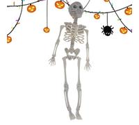Generico Figura di scheletro mobile, Articolazioni mobili Modello di osso umano per tutto il corpo Giocattolo, Scheletro raccapricciante per interni all'aperto puntelli decorazione di Halloween