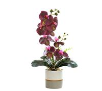 Generico Fiore di Orchidea Artificiale Giallo a Due Punte Fiori in Silicone Phalaenopsis Phalaenopsis a Otto Teste con Vaso di Fiori Fiore di Farfalla di Simulazione Bianco in Vaso (rosso)