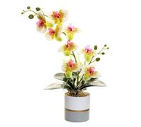 Generico Fiore di Orchidea Artificiale Giallo a Due Punte Fiori in Silicone Phalaenopsis Phalaenopsis a Otto Teste con Vaso di Fiori Fiore di Farfalla di Simulazione Bianco in Vaso (giallo)