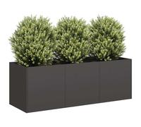 Generico Fioriera Nera 120x40x40 cm Acciaio Laminato a Freddo,Casa e Giardino,Prato e Giardino,Giardinaggio,Vasi e fioriere-860675