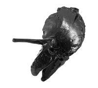 Generico Fischio di Sopravvivenza - Forma di Triceratops, Suono orribile Portatile, Morte whištle, horrór sсreaming whstle | Halloween Whiśtle per Campeggio Doni di Trucco all'aperto