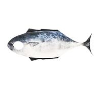 Generico Fish Costume, Realistic Animal Dress Up Suit, Soft Cozy 1 Piece Outfit Eye-Catching Festival & Cosplay Design for Adult Halloween, Masquerade, Role Play, Party, Celebration, Event Use