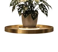 Generico Floating Plant Shelves Iron Light Up Floating Organizer Bracket