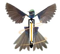 Generico Flying Hummingbird Toy - 12cm Outdoor Plaything | ABS Magic Fairy Flying Bird, Realistic Simulation Garden Decor Gift For Kids Boys And Girls To Improve Hand-Eye Coordination Random Colors