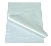 Generico FOGLIETTI A STRAPPO TRASPARENTI HD PER ALIMENTI DIVIDI FETTE TRASPARENTI CONFEZIONE 2,5 Kg. FOGLI IDEALI PER SEPARARE ALIMENTI AFFETTATE (CM 25 X 37)