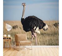 Generico Fotomurale Da Parete Struzzo Della Savana, Carta Parati Per Camera Da Letto Animale Divertente 400X280cm Aggiorna Lo Stile Della Casa Perfetto Per Case In Affitto Materiale Sicuro Ed