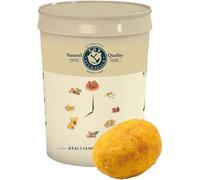 Generico Fox Aperitivo Foxer Giallo XXL Arachidi al Curry Secchiello da 2 kg Ideale per Aperitivi Feste