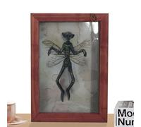 Generico Framed Bat Specimen | 20x14x1.9cm Resin Bat Ghost Specimen Photo Frame | Simple To Apply Picture Frames Mummified Fairy Creepy Mummified Decorate Alien Extraterrestrial Wall Decor For Home