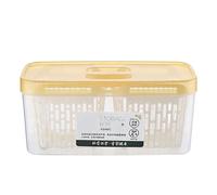 Generico Fruit Organizer For Refrigerator - 33.1×16.8×14.1cm 5L Large Capacity Food Storage Container With Lid Detachable Filter, Sealed Fresh Keeper For Fruits Vegetables