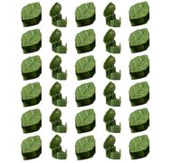 Generico Ganci Da Parete Per Piante | Supporti Vite per Piante Rampicanti da Interno - 30 Pezzi Gancio Adesivo Foglie Invisibili Accessori Giardinaggio Per Decorazioni Casa Giardino Esterno