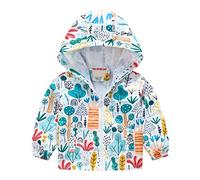 Generico Giacche Bambino per Ragazzi,Giacca con Cappuccio da Ragazzo Giacca Cerniera Antivento Outwear completati Top Trendy Autunno Classico Leggera Cappotto Il Tempo Libero