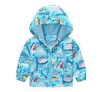 Generico Giacche Bambino per Ragazzi,Giacca con Cappuccio da Ragazzo Giacca Cerniera Antivento Outwear completati Top Trendy Autunno Classico Leggera Cappotto Il Tempo Libero